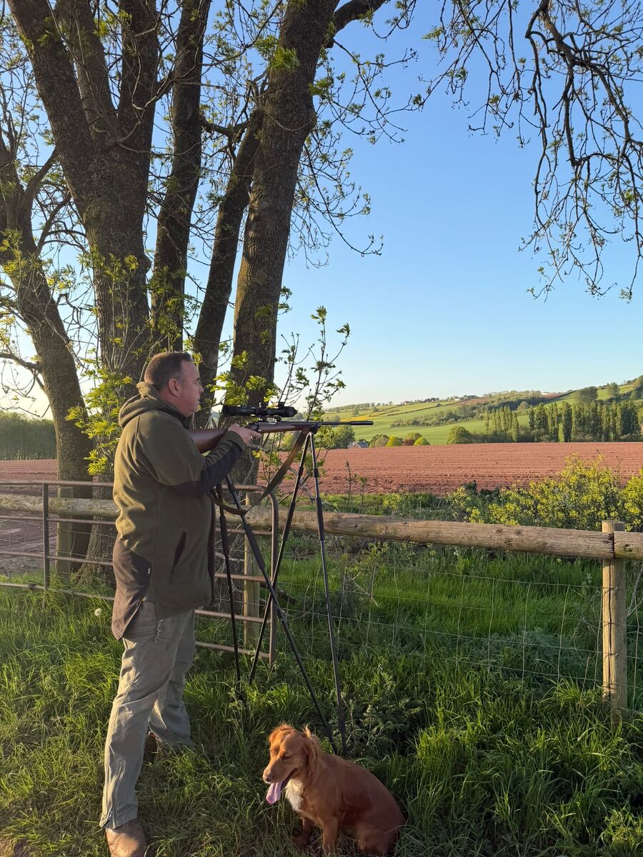 Julian Goodwin on shooting sticks at a field edge with a working spaniel
