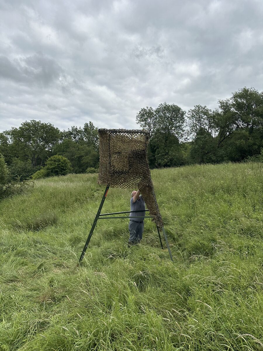 High seat sited on summer pasture