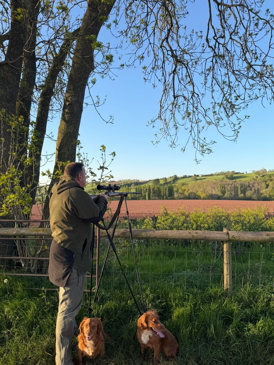 Julian Goodwin on shooting sticks overlooking farmland with two working spaniels