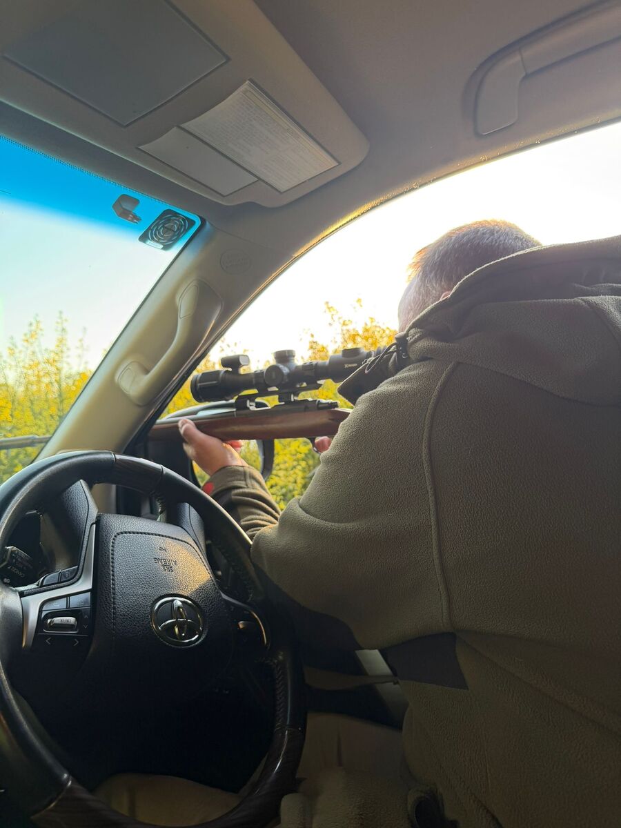 Scoped rifle rested on a vehicle window frame, looking out over an oilseed rape field